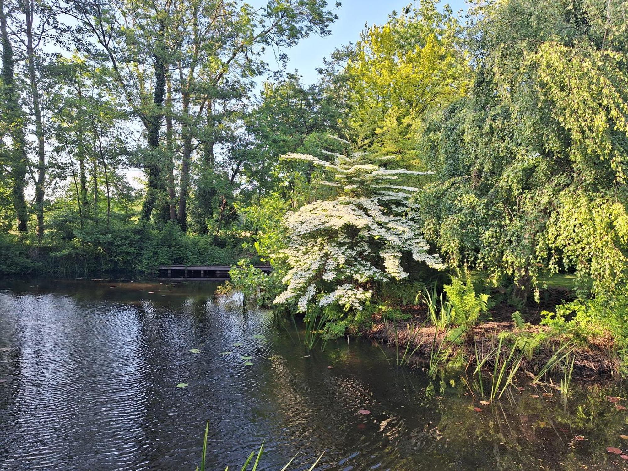 De Consistorie Giethoorn Exterior foto